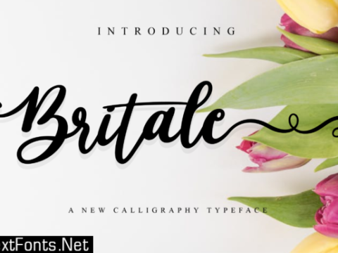 Britale Script Font