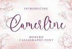 Camerline - Modern Calligraphy Font