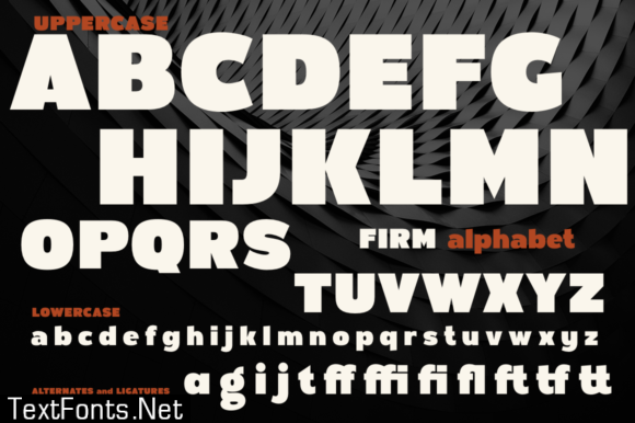 Firm Font