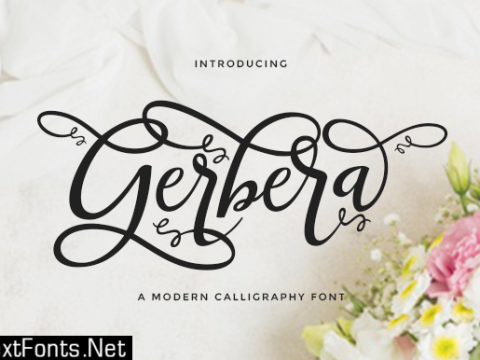 Gerbera Font