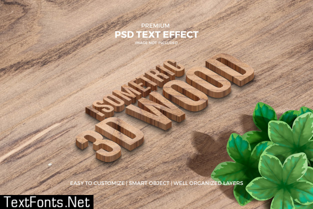 Isometric 3d wood text effect