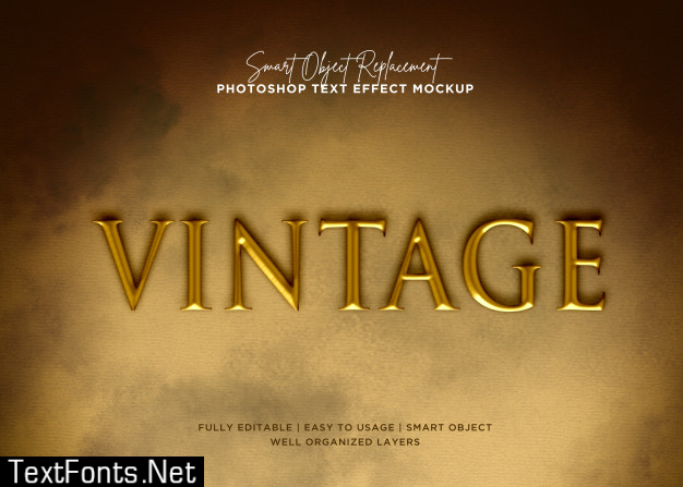 Style vintage text effect