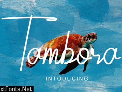 Tambora Font