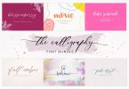 The Calligraphy Font Bundle 4505490