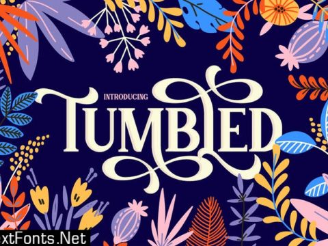 Tumbled Serif Font