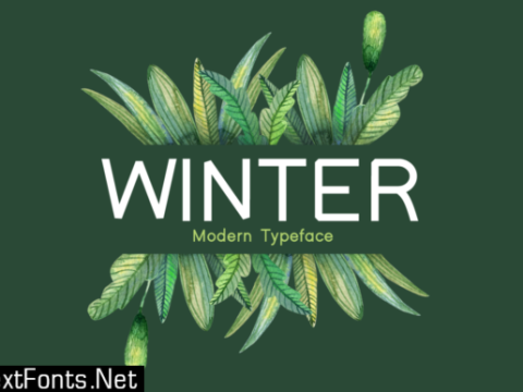 Winter Font