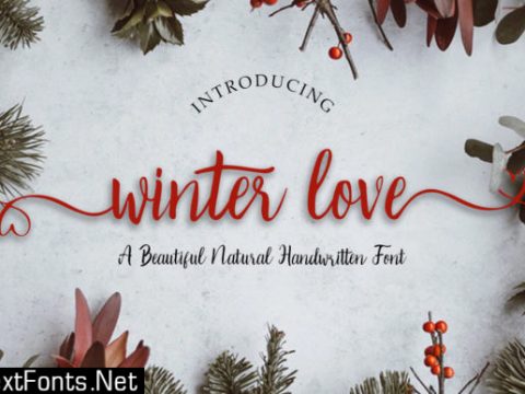 Winter Love Font