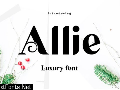 Allie Font