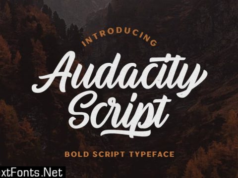 Audacity Script - Adventure Typeface