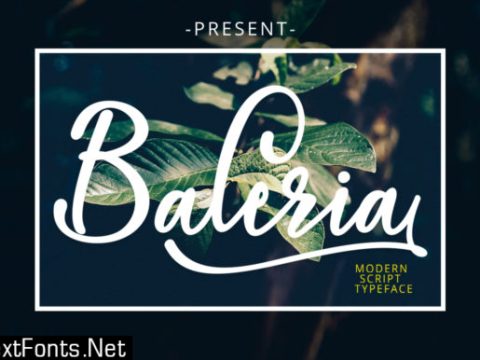 Baleria Script Font