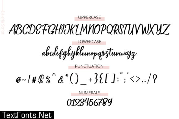 Baleria Script Font