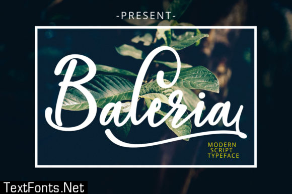 Baleria Script Font