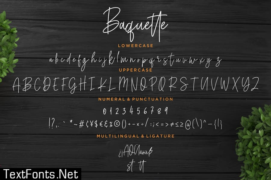 Baquette Monoline Script