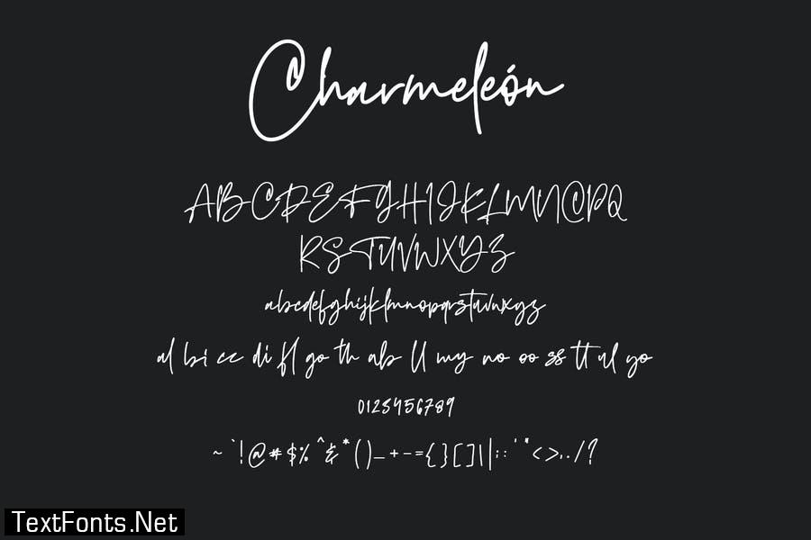 Charmeleon Script Typeface