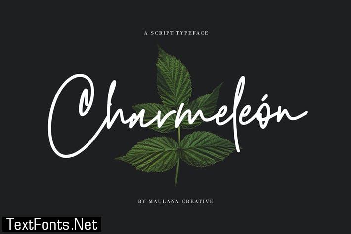 Charmeleon Script Typeface