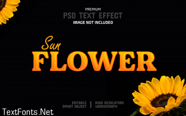 Editable sunflower text effect template