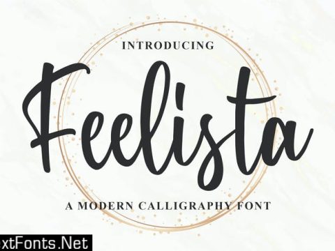 Feelista - a Modern Calligraphy Font