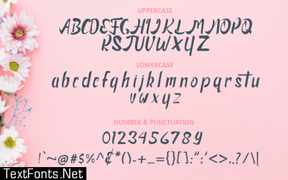 Financialy Font