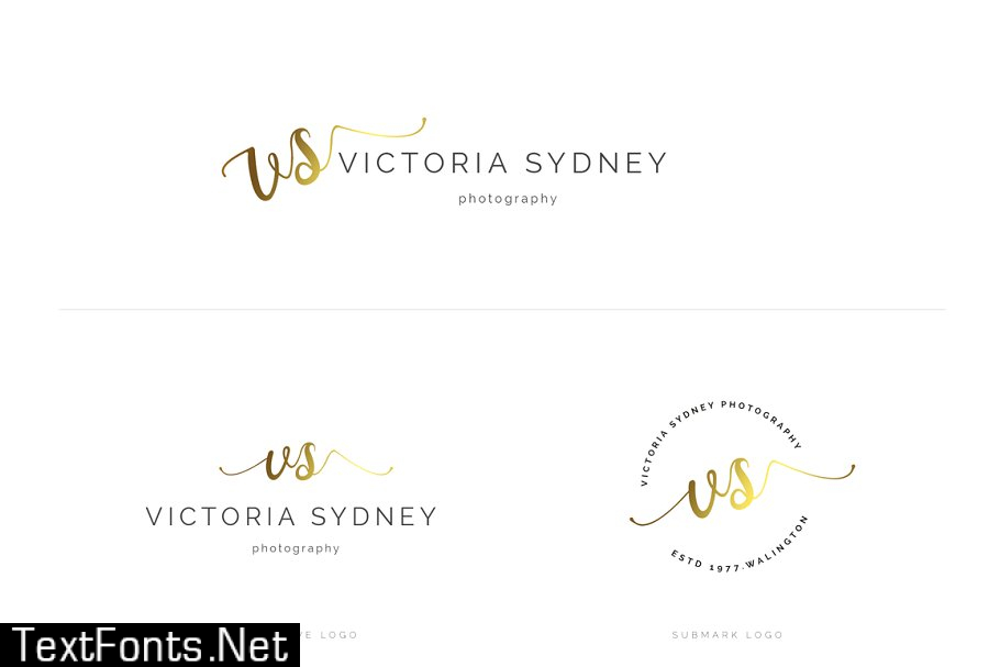 Ladyboss Premade Branding Logo Pack 901850