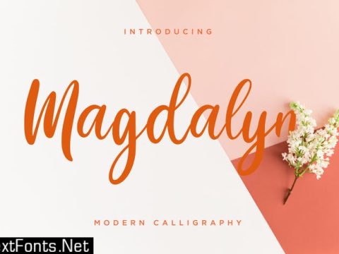 Magdalyn Modern Calligraphy