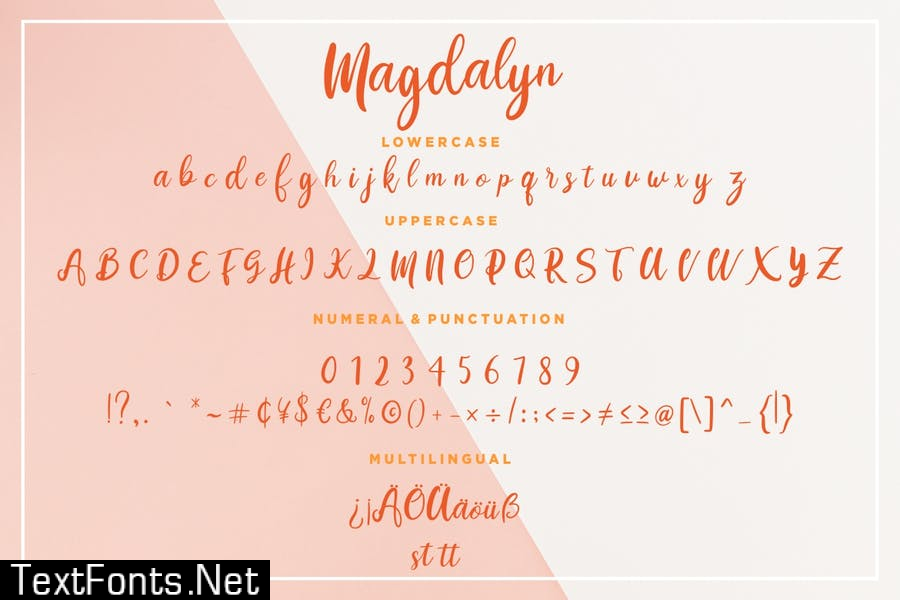 Magdalyn Modern Calligraphy