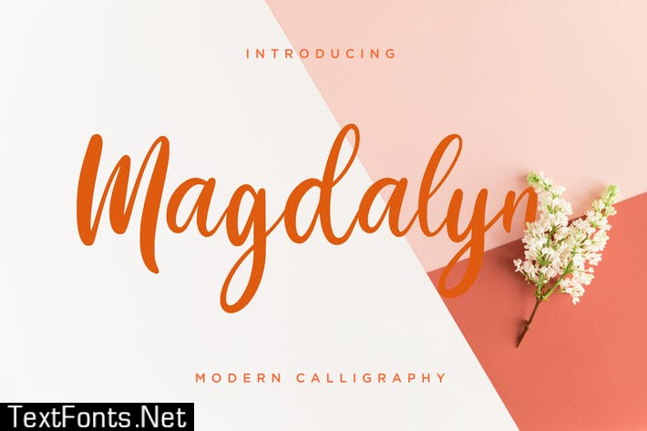 Magdalyn Modern Calligraphy