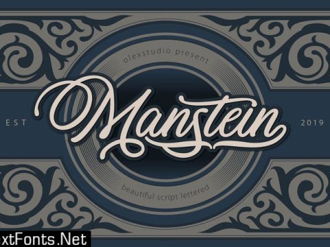 MANSTEIN - Handwritten script