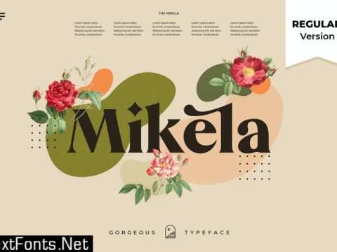 Mikela Regular - Gorgeous Typefaces