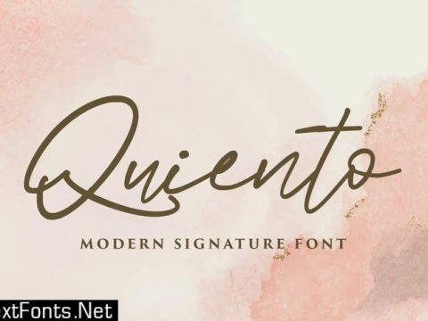 Quiento Script