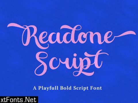 Readone Script - Playful Bold Script