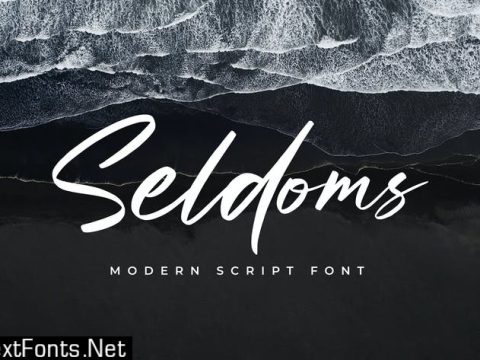 The Seldoms Script