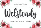 Welstendy - Modern Calligraphy Font