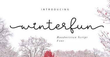 Winterfun Font