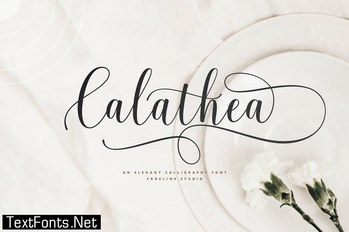 Calathea - Elegant Calligraphy Font