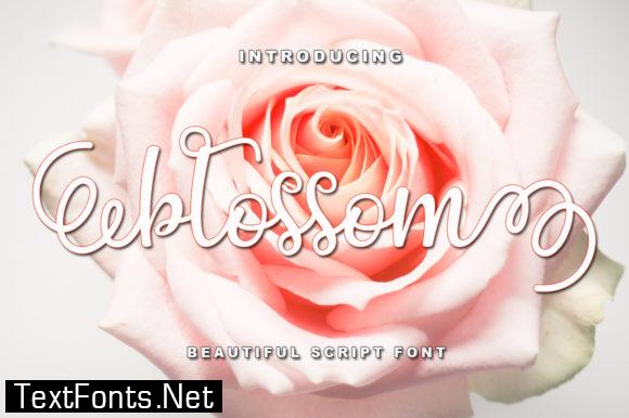 Blossom Font