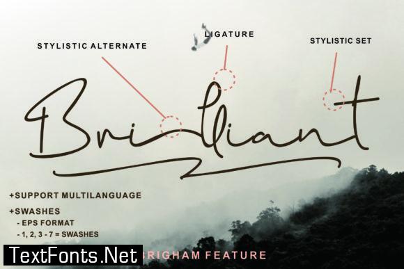 Brigham Script Font