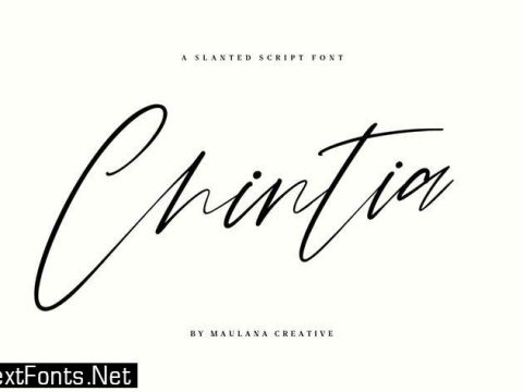 Chintia Slanted Script Brush Handmade Beauty Font