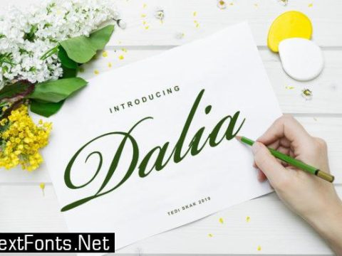 Dalia Font