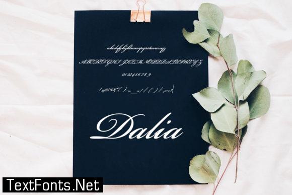 Dalia Font