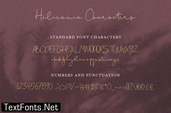 Heliconia Script Font