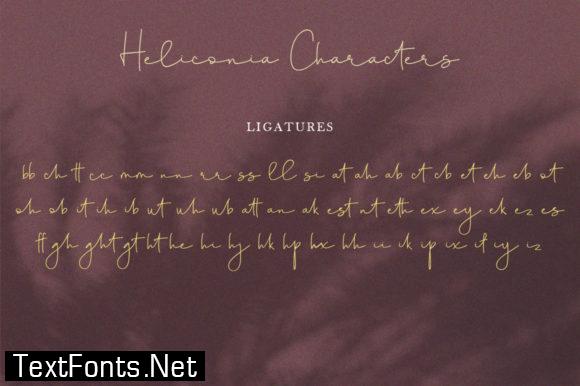 Heliconia Script Font