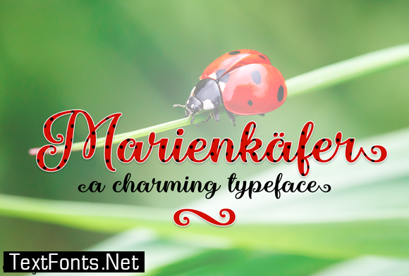 Marienkaefer Font