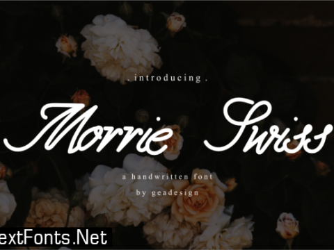 Morrie Swiss Font