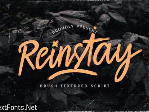 Reinstay - Brush Script Font