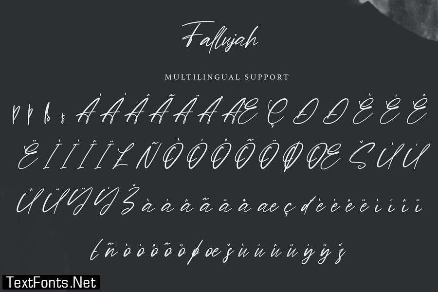 Fallujah | Modern Script Font