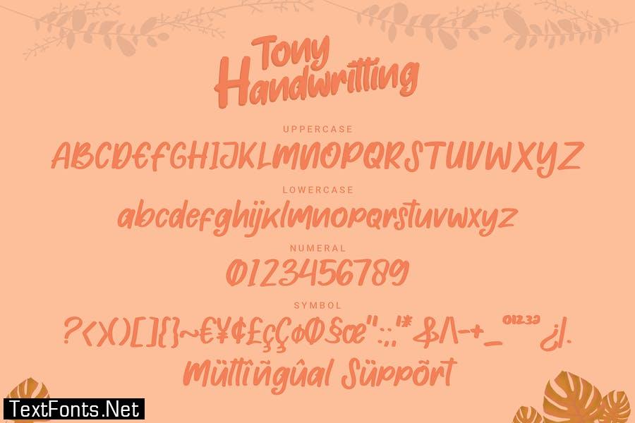 Tony Handwritting - Font