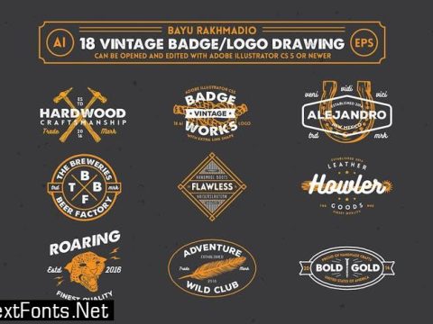 18 Hipster Vintage Badges