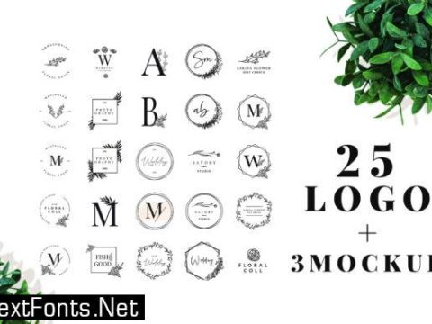 25 Elegant Logos + 3 Quality Mockups