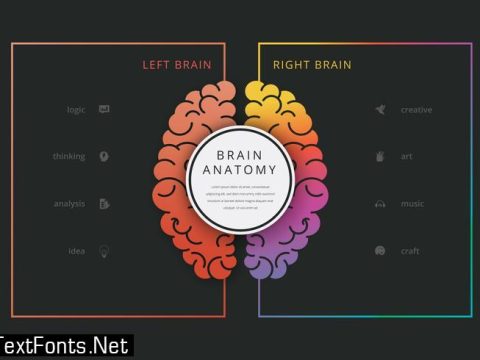 3D Infographic Elements