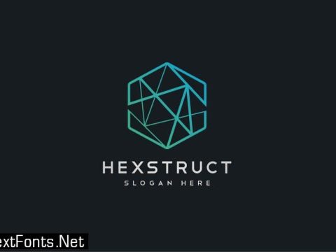 Abstract Hexagon Geometric Structure Logo